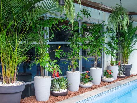 プレステージ マナウス ホテル 写真