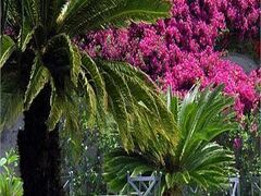 ホテル カナスタ 写真