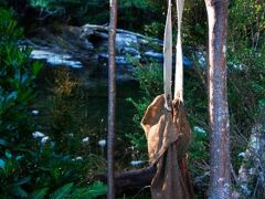 Tyenna River Cottages 写真