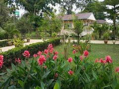 The Country Lake Nature Lodge Hotel 写真