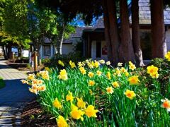 テ アナウ ホテル アンド ビラ 写真