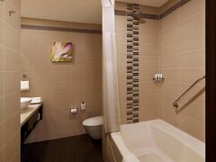 ヒルトン ガーデン イン ニュー デリー/サケット 写真