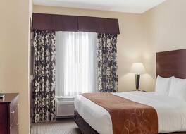 コンフォート スイーツ カンファレンス センター ラピッド シティ 写真