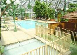 ワイルドウッド イン トロピカル ドーム & テーマ スイーツ 写真