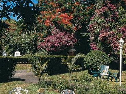 ロイヤル パームス ホテル 写真