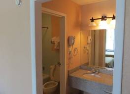 アメリコート エクステンデッド ステイズ 写真