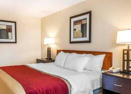 コンフォート  イン エイボン インディアナポリス ウエスト 写真