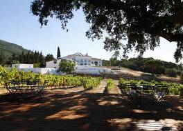 Hotel Casa Palmela 写真