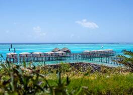 ル マルセンン ザンジバル  オートグラフ コレクション 写真