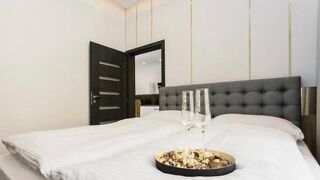 Luxury Apartment on Wenceslas Square