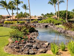 ヒルトン グランド バケーションズ クラブ コハラ スイーツ ワイコロア 写真