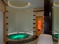 ザ セント レジス サディヤット アイランド リゾート アブ ダビ 写真