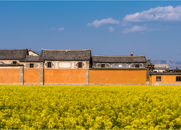 ザ リンデン センター