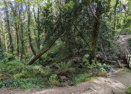 サマーフィールズ ハウス 写真