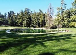 Villa Dei Cedri 写真