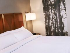 デトロイト メトロ エアポート マリオット 写真