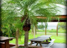 ウォンガイ ビーチ ホテル 写真