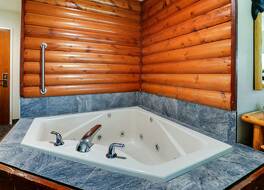 ストーニー クリーク ホテル ピオリア 写真