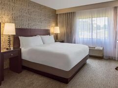 DoubleTree by Hilton Hotel Chicago Wood Dale-Elk Grove 写真