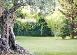 Novotel Montpellier 写真