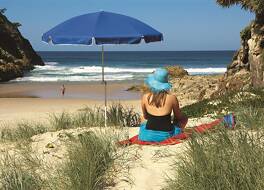 パンダナス パームズ リゾート 写真