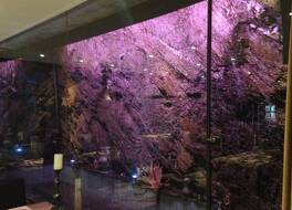 ホテル コージー 写真