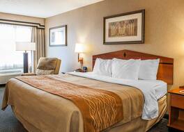 コンフォート イン エディンバラ - コロンバス 写真