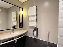 イビス フォス ド イグアス 写真