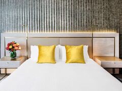 パラドックス シドニー 写真