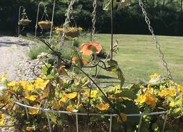 マーサズ ヴィンヤード ベッド & ブレックファスト 写真