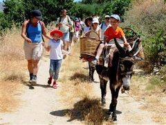 エナグロン エコツーリズム ビレッジ 写真