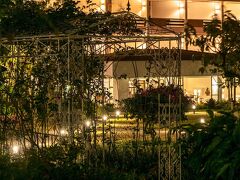 ホテル ブーゲンビリア サン ホセ 写真