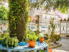 シャレー サウダージ 写真