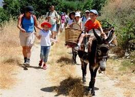エナグロン エコツーリズム ビレッジ 写真