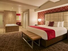 ホースシュー ラスベガス 写真