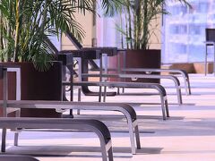 ルネッサンス シャンハイ ヂョンシャン パーク ホテル 写真