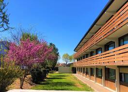 ホテル カンパニール セット - バラリュック