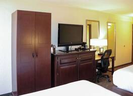 マスタング イン 写真