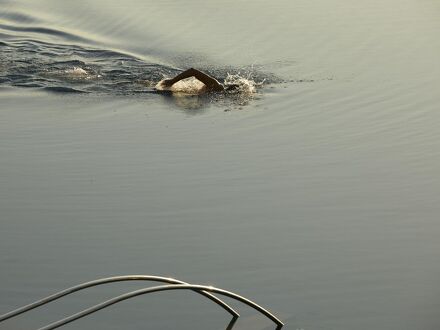 Minos Palace Hotel and Suites Adults Only 写真