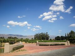 サロンズベルグ ワインヤード コテージズ 写真