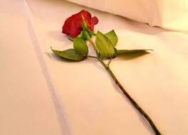 ホテル シルケン ロナ ダルバ サラマンカ 写真