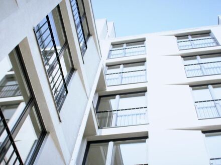 ホテル ディーマス シティ 写真