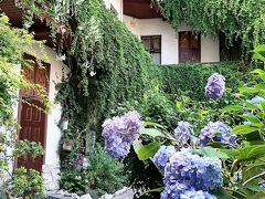 グローブトロッター ゲスト ハウス 写真