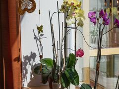 ホテル ベルエアー エデン 写真