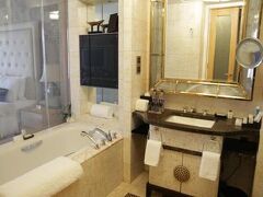 ワンダ ビスタ ベイジン 写真