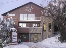 ダック イン マウント ブラー 写真