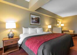 コンフォート イン & スイーツ 写真