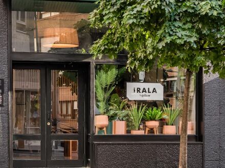 バイピロー イララ 写真