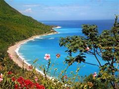 カーサボニータ トロピカルロッジ ホテル 写真