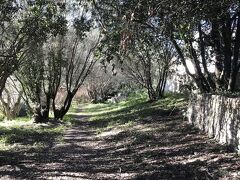 レジデンス オテリエール ア トラマ 写真